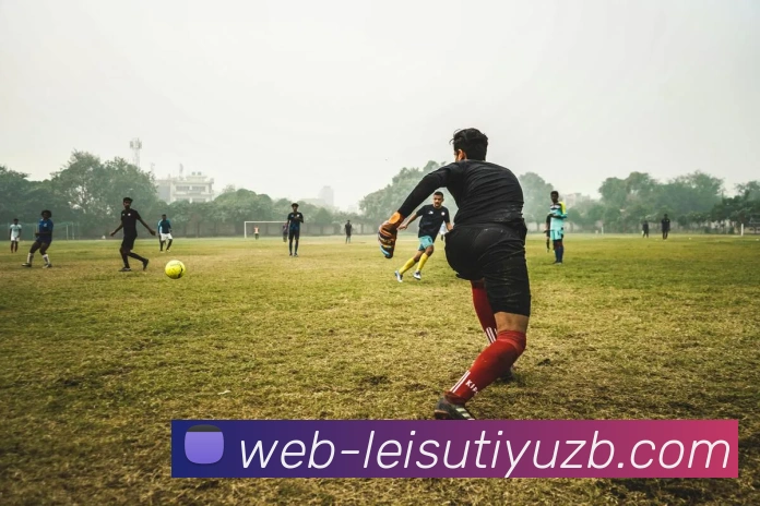 雷速体育直播全站App